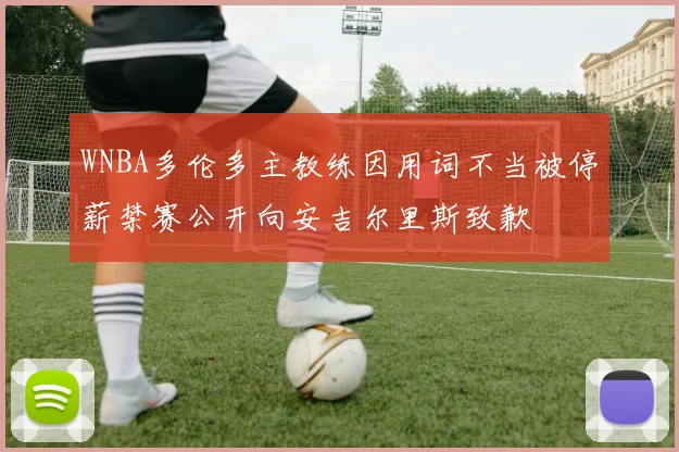 WNBA多伦多主教练因用词不当被停薪禁赛公开向安吉尔里斯致歉